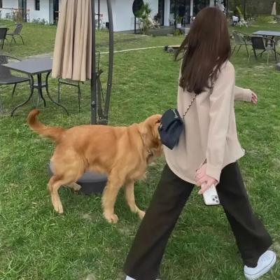 男盗女很贼